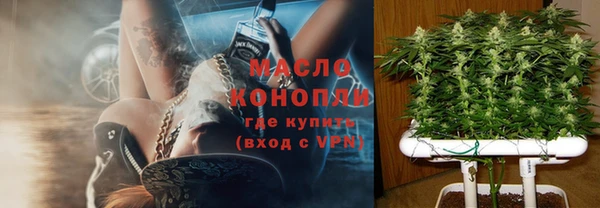 стаф Пересвет
