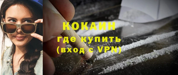 стаф Пересвет
