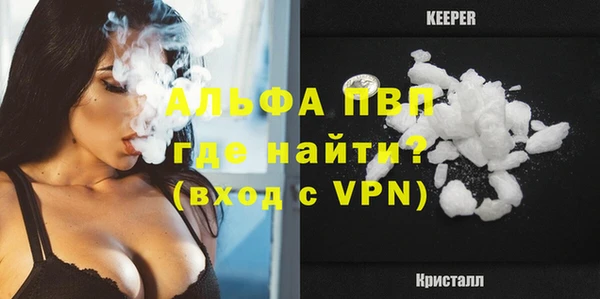 стаф Пересвет