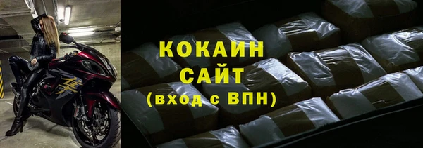 стаф Пересвет