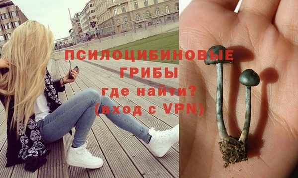 ALPHA-PVP Пестово