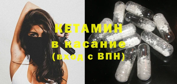 стаф Пересвет