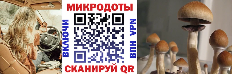что такое   Советск  Галлюциногенные грибы Cubensis 